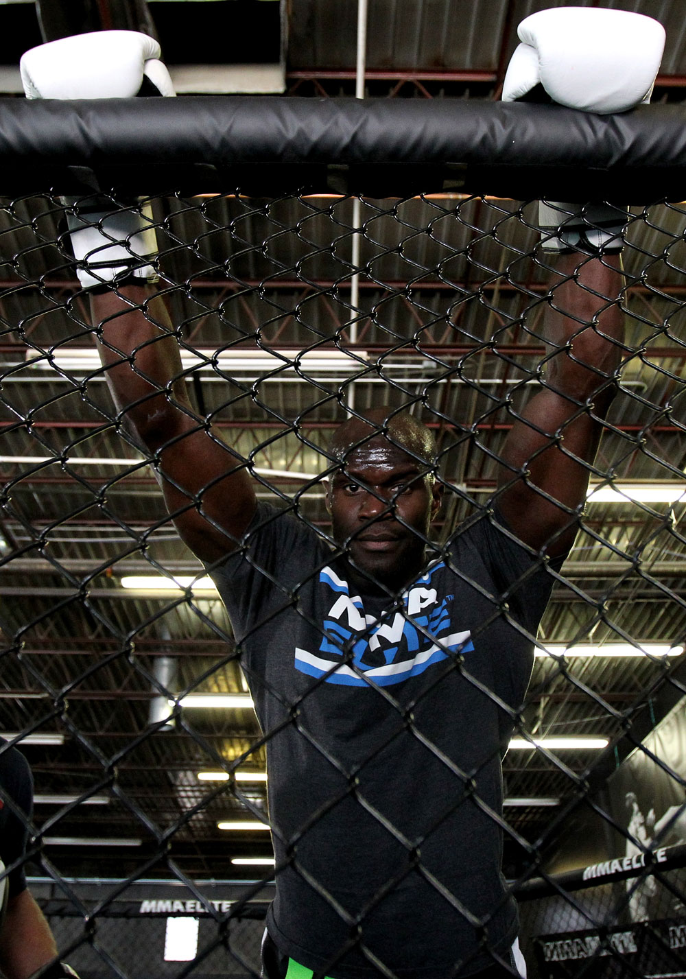 Cheick Kongo