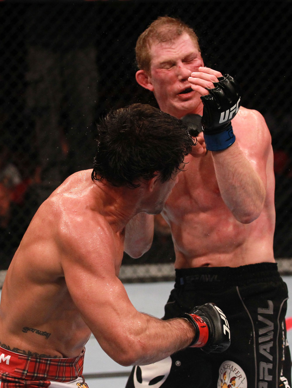 Simpson vs Schafer