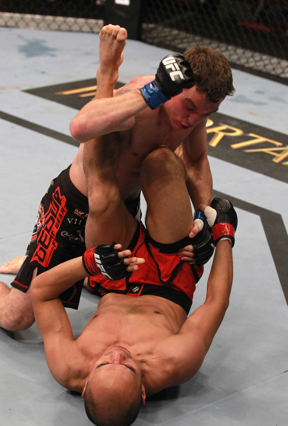 Zhang vs Elkins