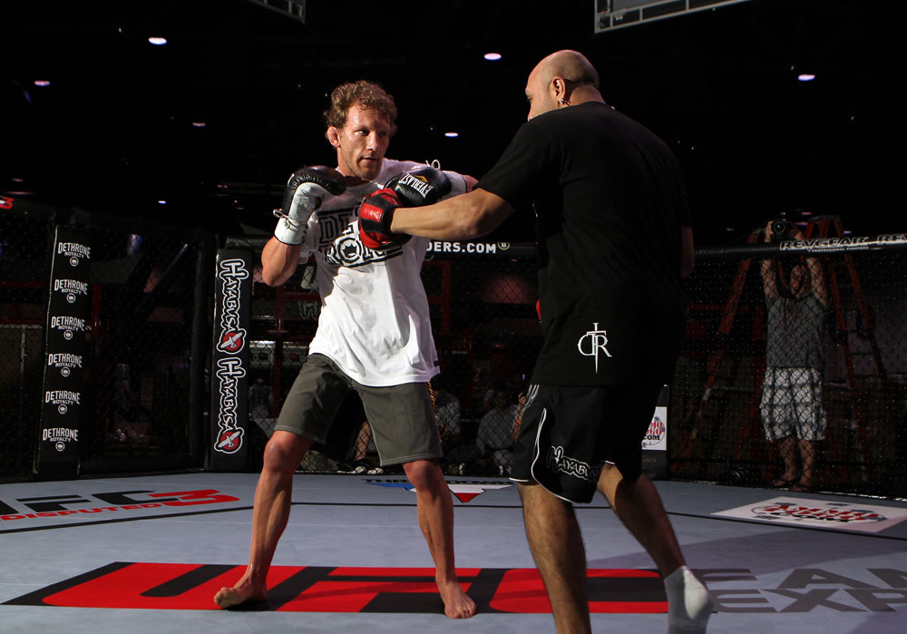 Gray Maynard