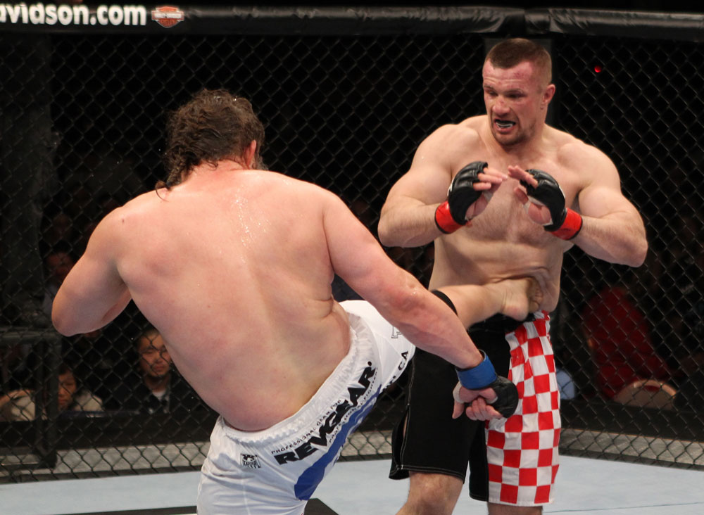 Mirko Cro Cop vs Roy Nelson