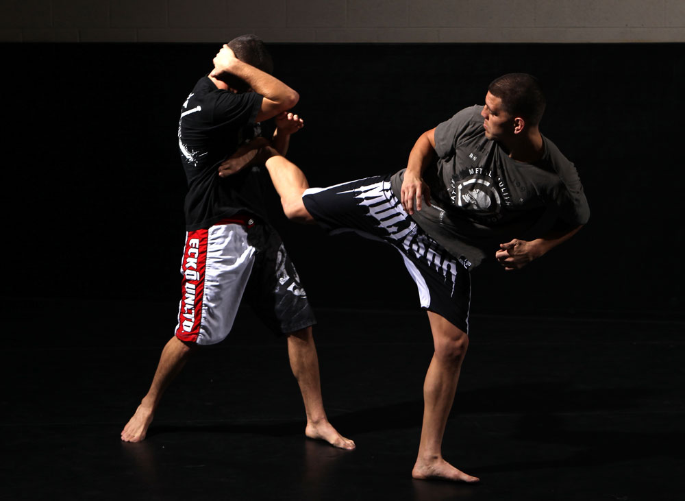 (L-R) Nate Diaz and Nick Diaz