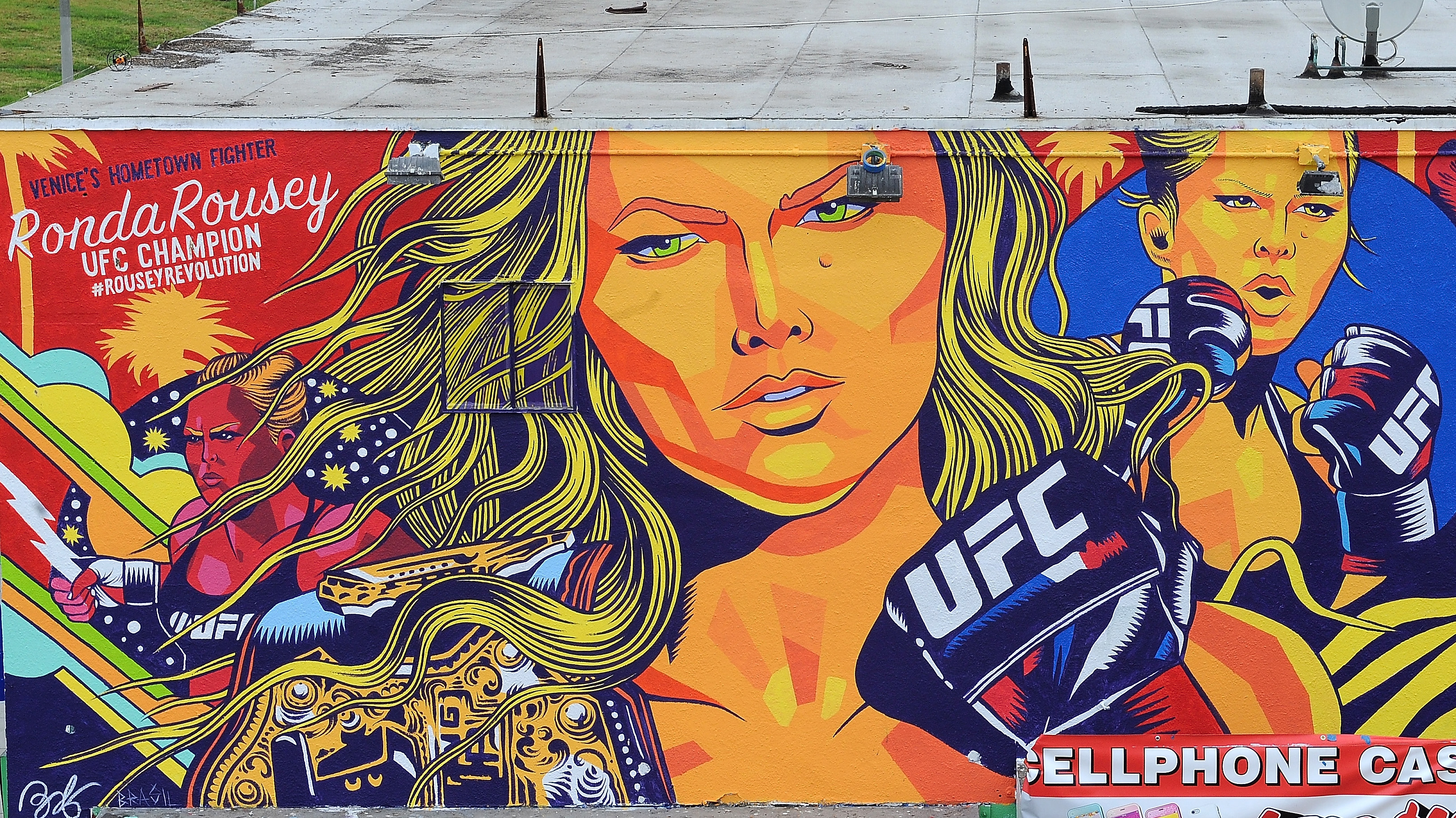A general view of a mural painted in honor of UFC women's bantamweight champion Ronda Rousey on October 16, 2015 in Venice, Calif. (Photo by Joshua Blanchard /Zuffa LLC/Zuffa LLC via Getty Images)