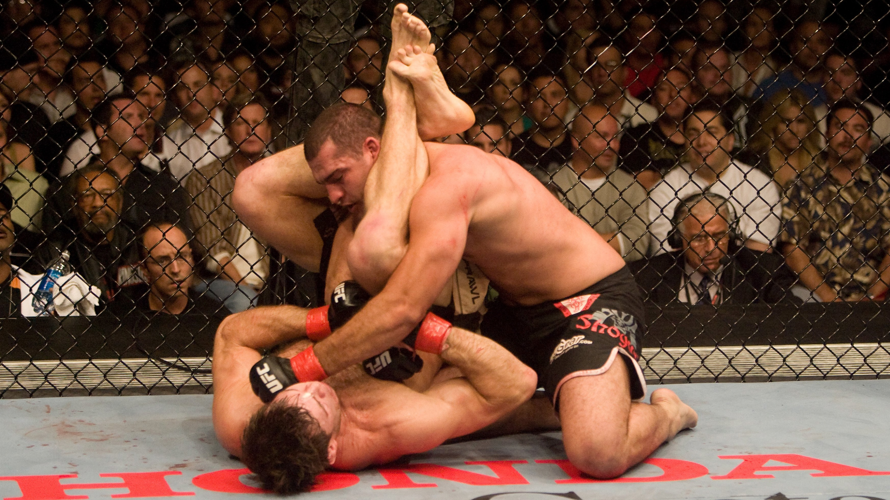 (Photo by: Josh Hedges/Zuffa LLC via Getty Images)
