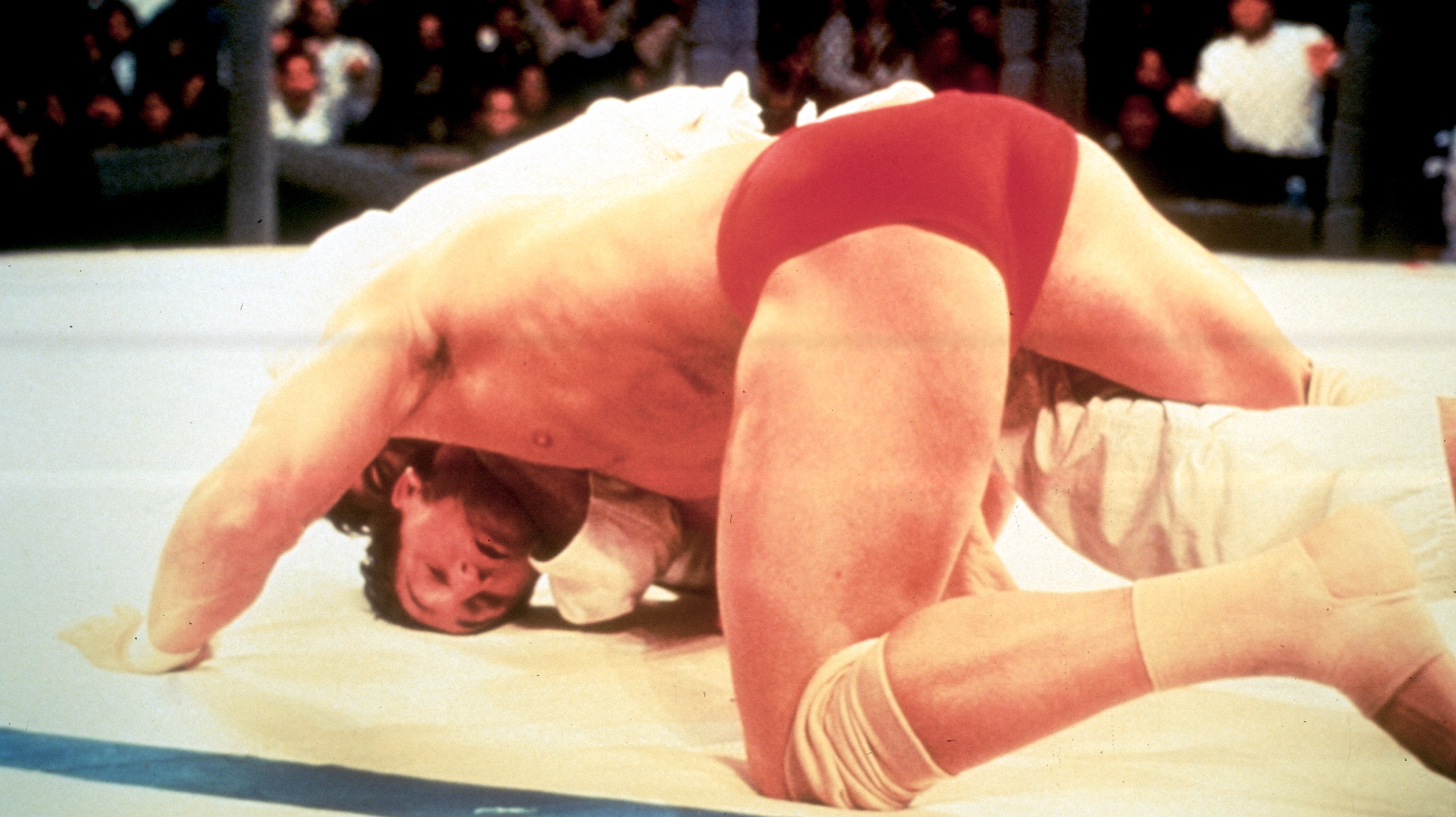 (Photo credit: UFC Archive)