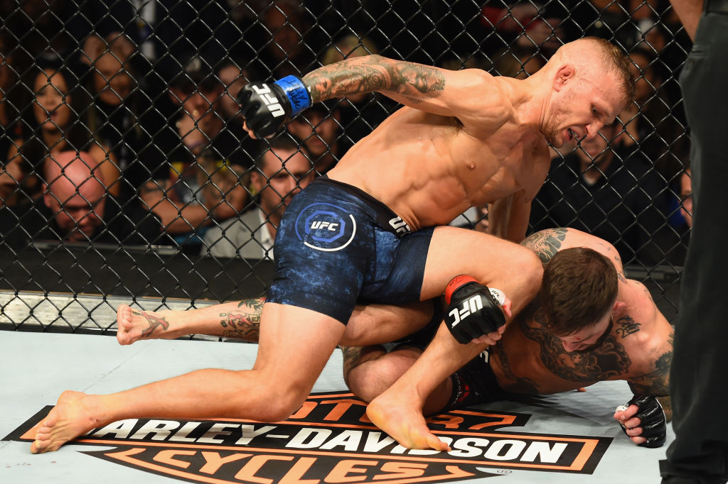 NEW YORK, NY - NOVEMBER 04: TJ Dillashaw fights Cody Garbrandt in their UFC bantamweight championship bout during the UFC 217 event at Madison Square Garden on November 4, 2017 in New York City. (Photo by Josh Hedges/Zuffa LLC)