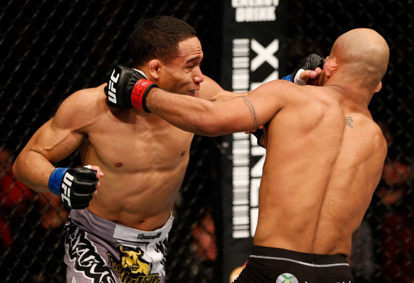 Dodson and Johnson trade blows Dodson and Johnson trade blows