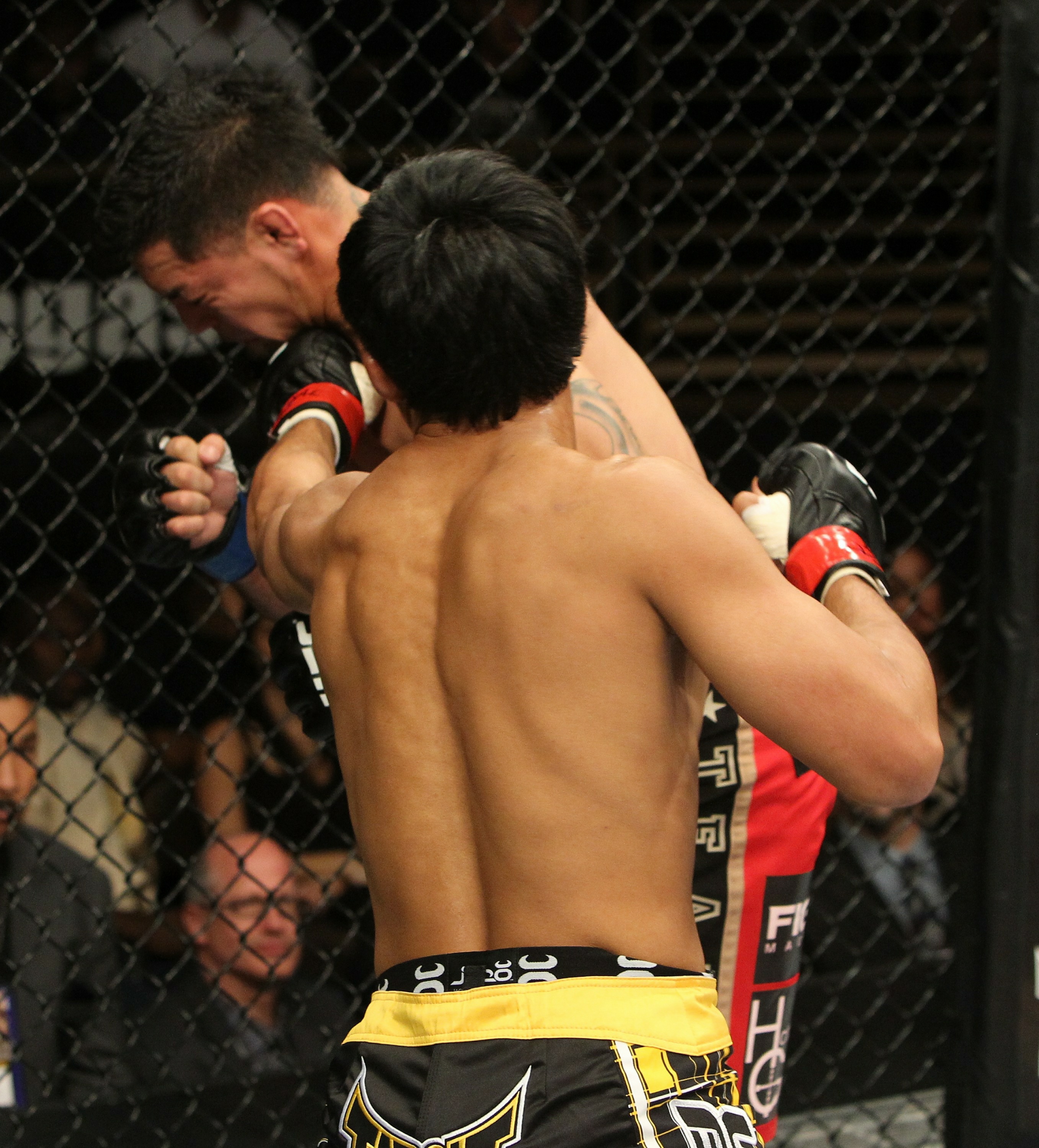 The Ultimate Fighter® Team GSP vs Team Koscheck Finale UFC ® Media