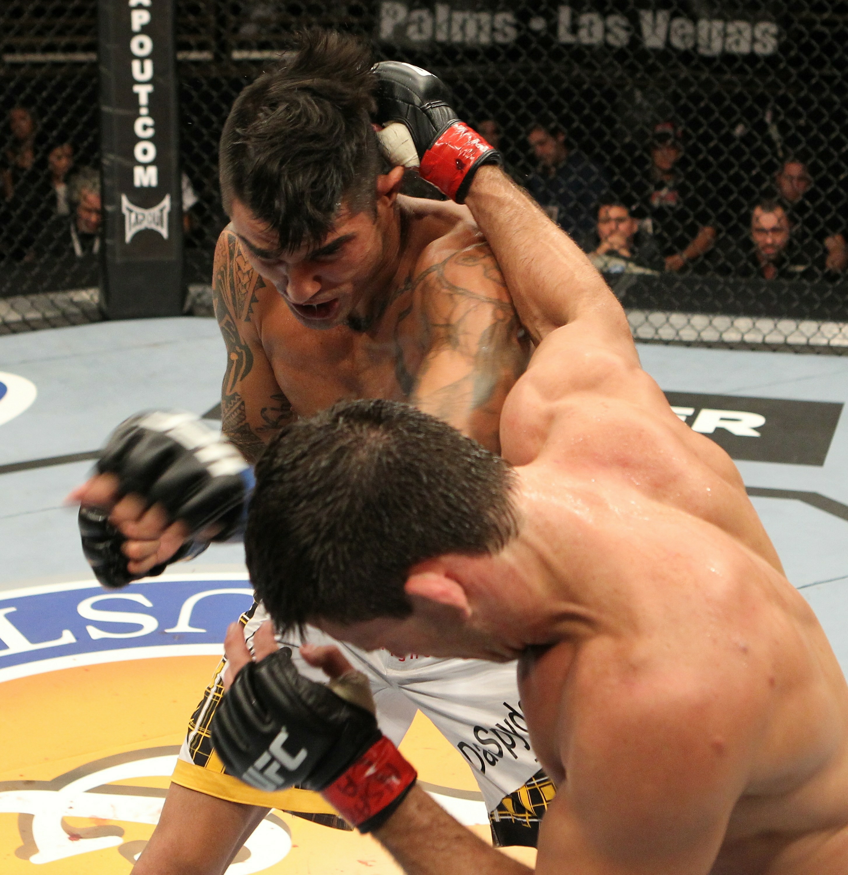 Demian Maia vs Kendall Grove