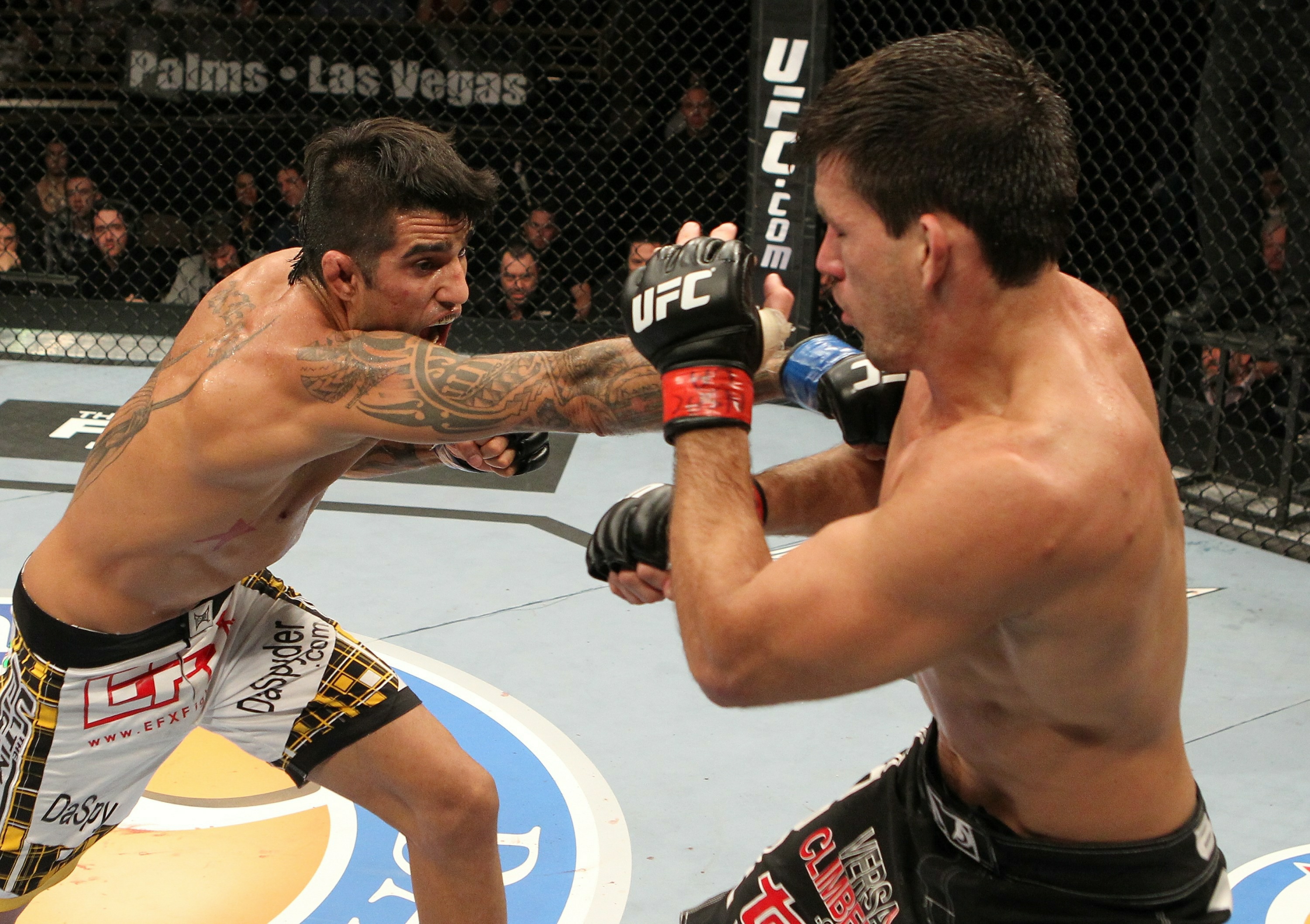 Demian Maia vs Kendall Grove