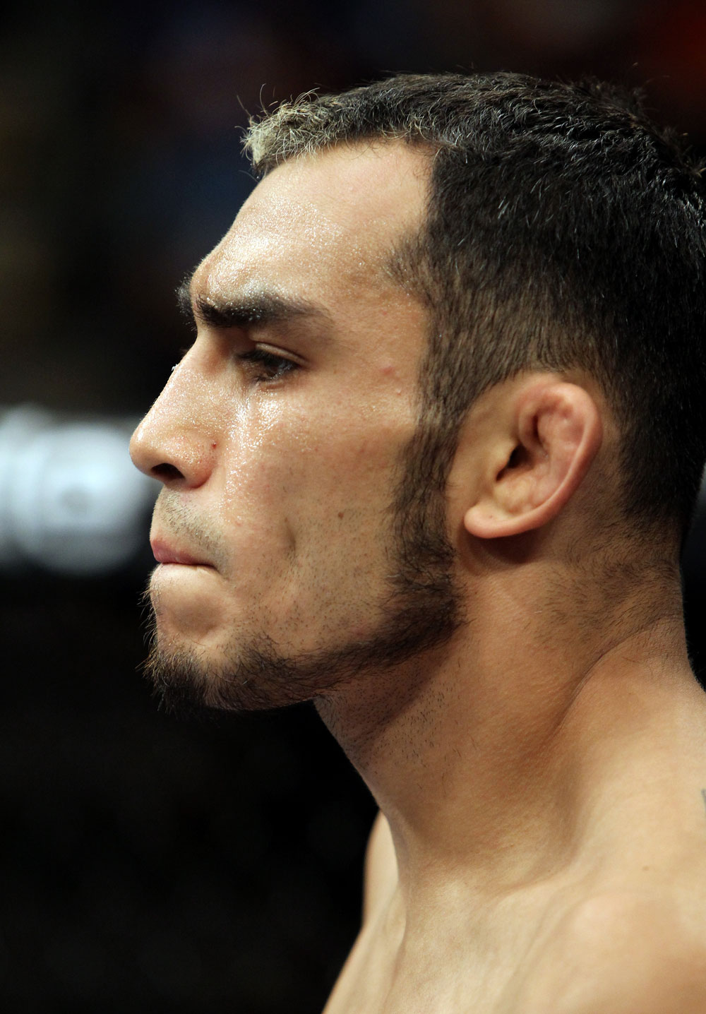 The Ultimate Fighter Season 13 Finale: Tony Ferguson