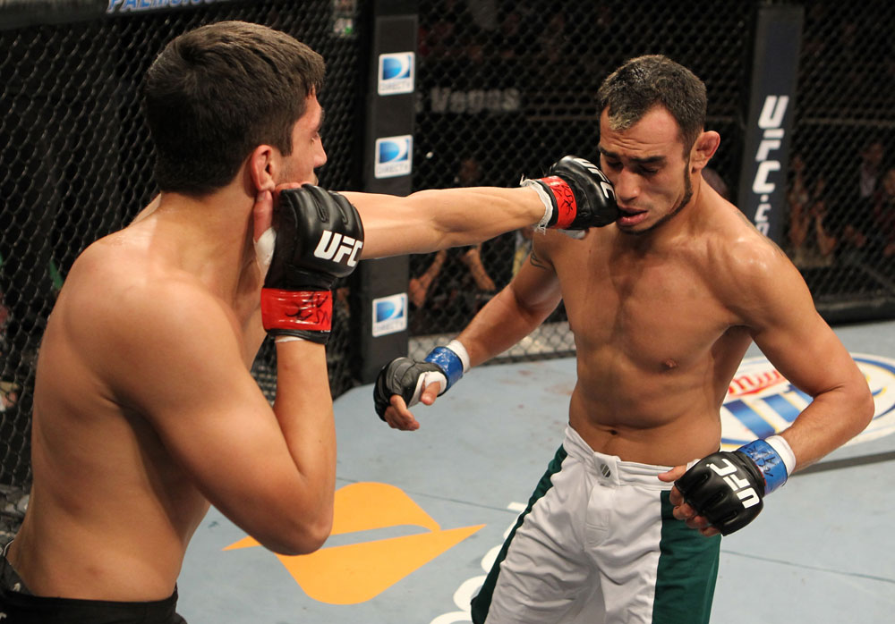The Ultimate Fighter Season 13 Finale: Nijem vs. Ferguson