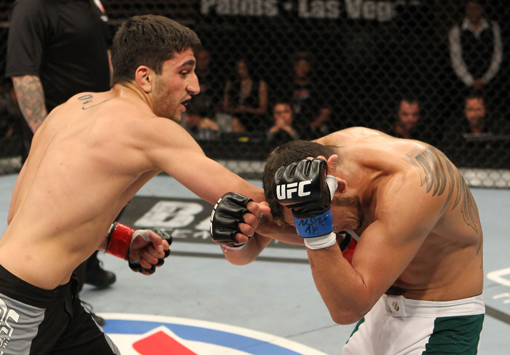 The Ultimate Fighter Season 13 Finale: Nijem vs. Ferguson