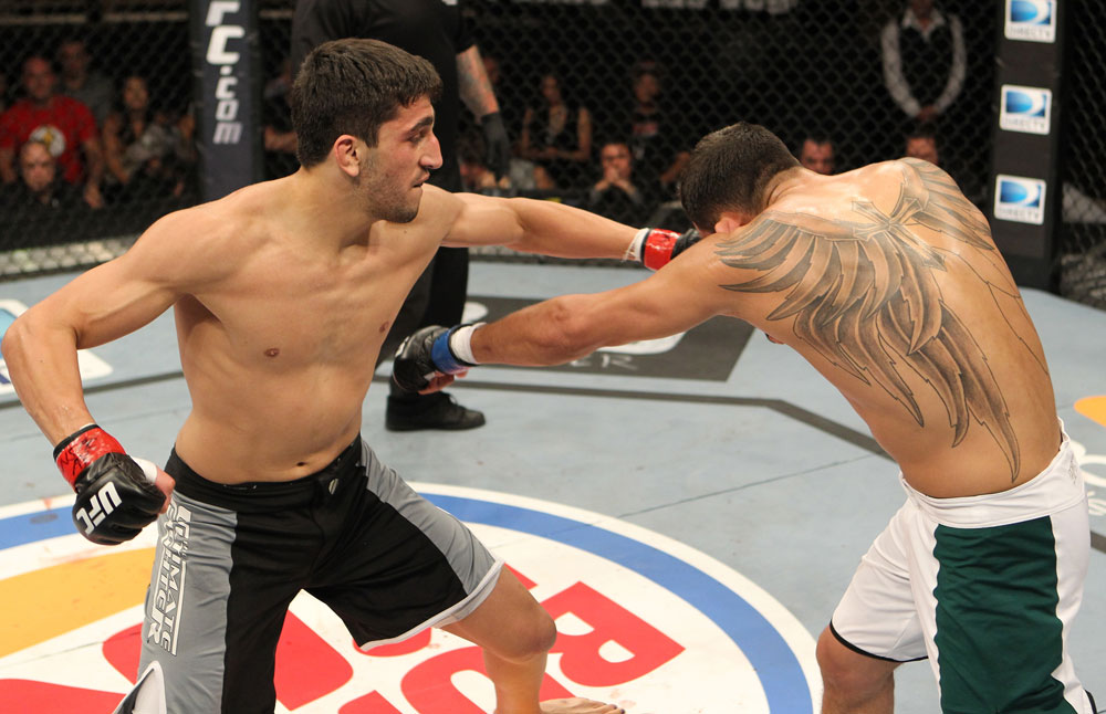 The Ultimate Fighter Season 13 Finale: Nijem vs. Ferguson