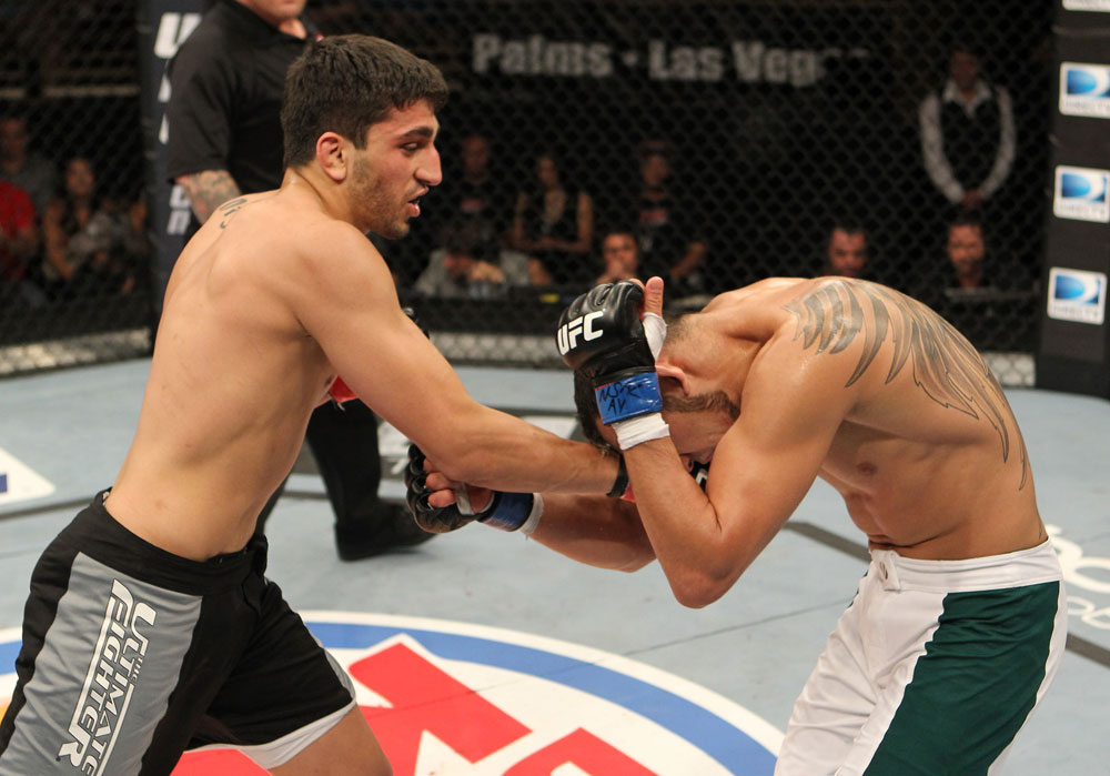 The Ultimate Fighter Season 13 Finale: Nijem vs. Ferguson