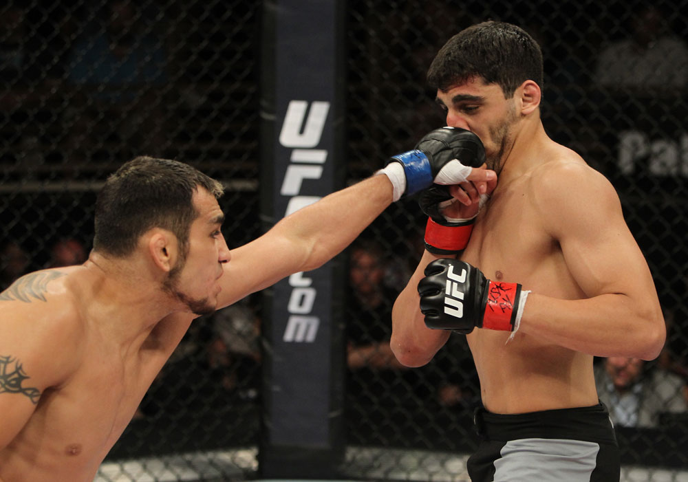 The Ultimate Fighter Season 13 Finale: Nijem vs. Ferguson