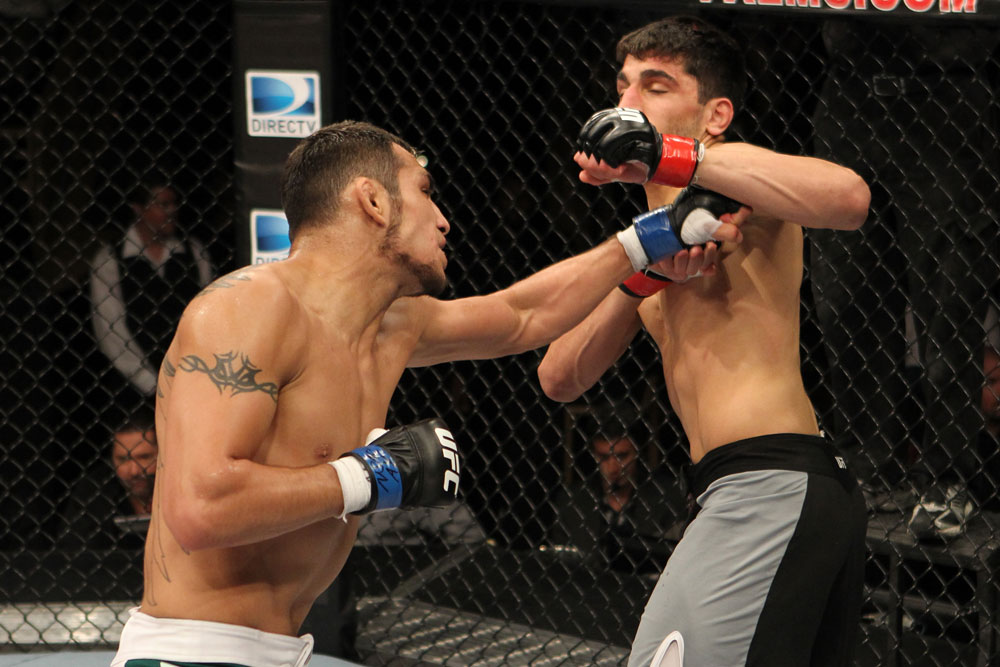 The Ultimate Fighter Season 13 Finale: Nijem vs. Ferguson