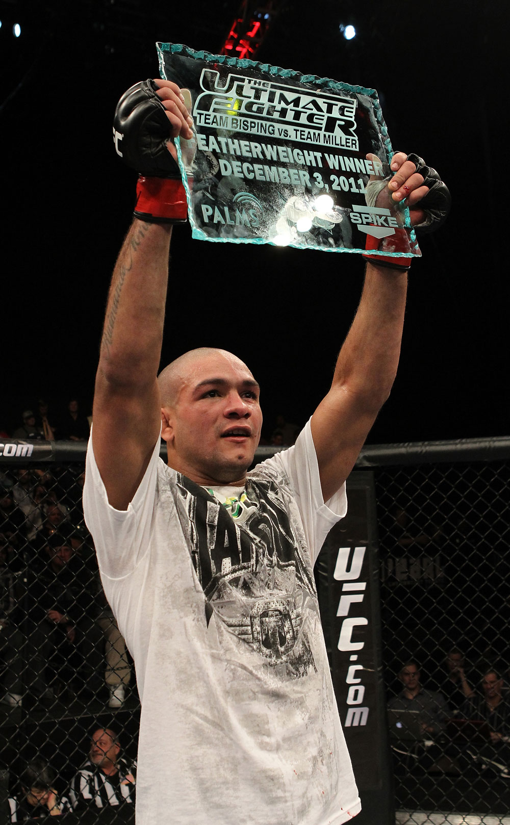 Diego Brandao