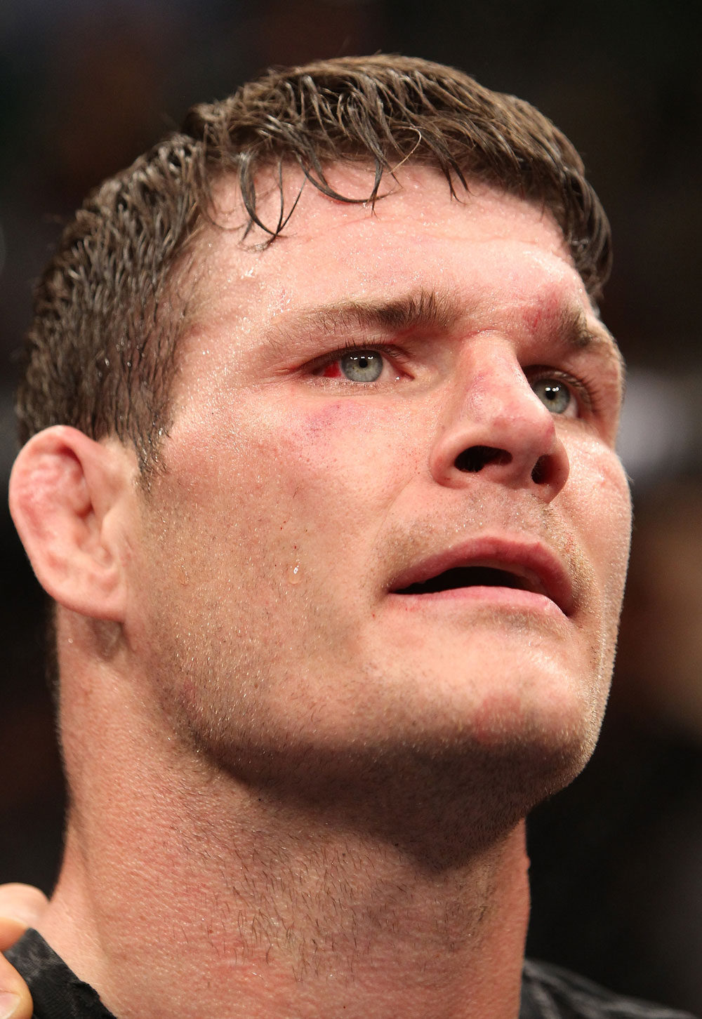 Michael Bisping