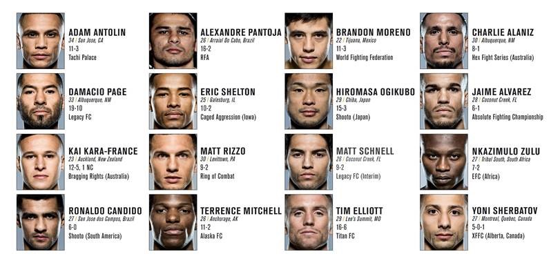 The Ultimate Fighter Season 7 Online Free