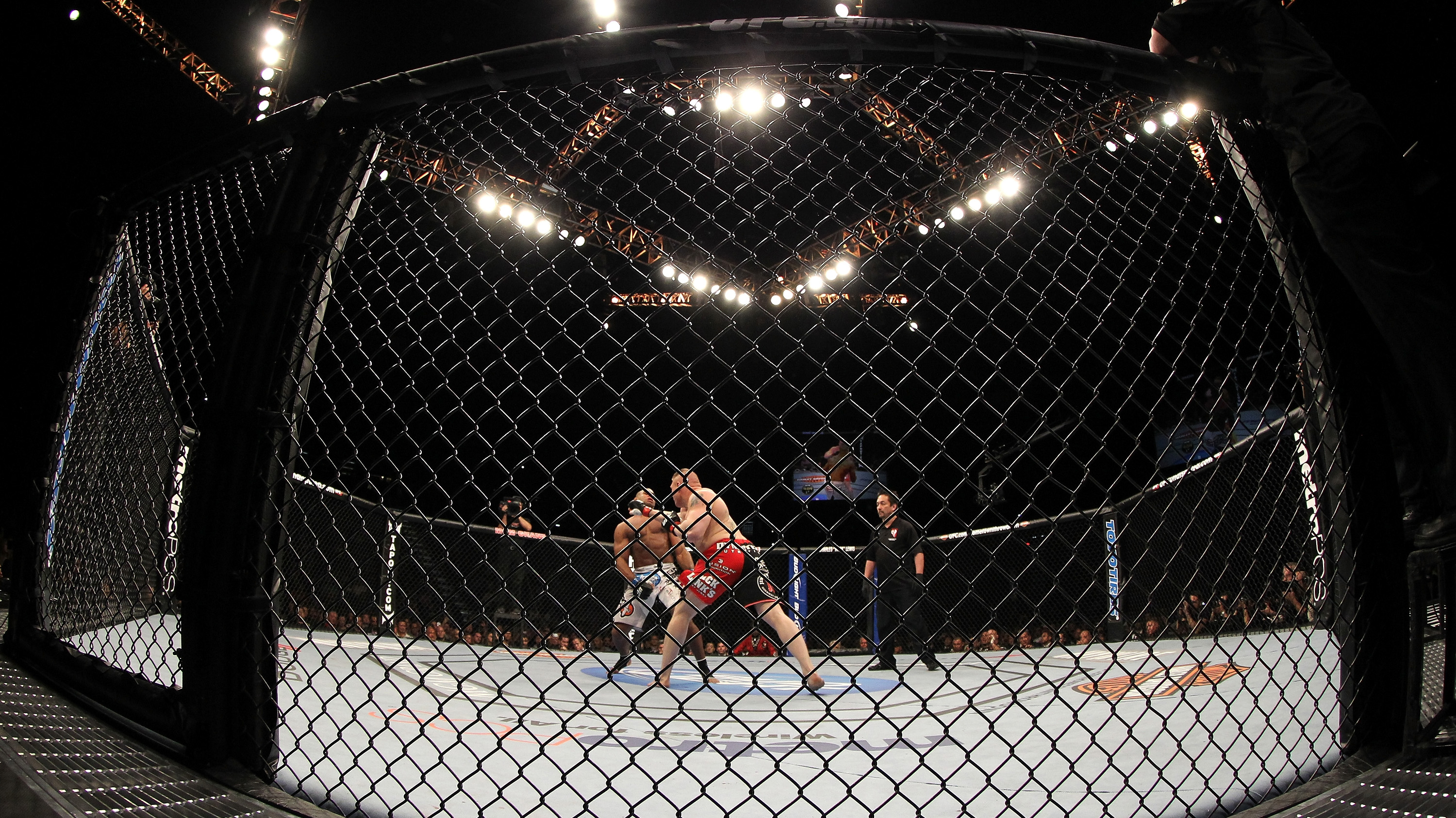Brock Lesnar punches Alistair Overeem during the UFC 141 event on December 30, 2011 (Photo by Josh Hedges/Zuffa LLC/Zuffa LLC via Getty Images)