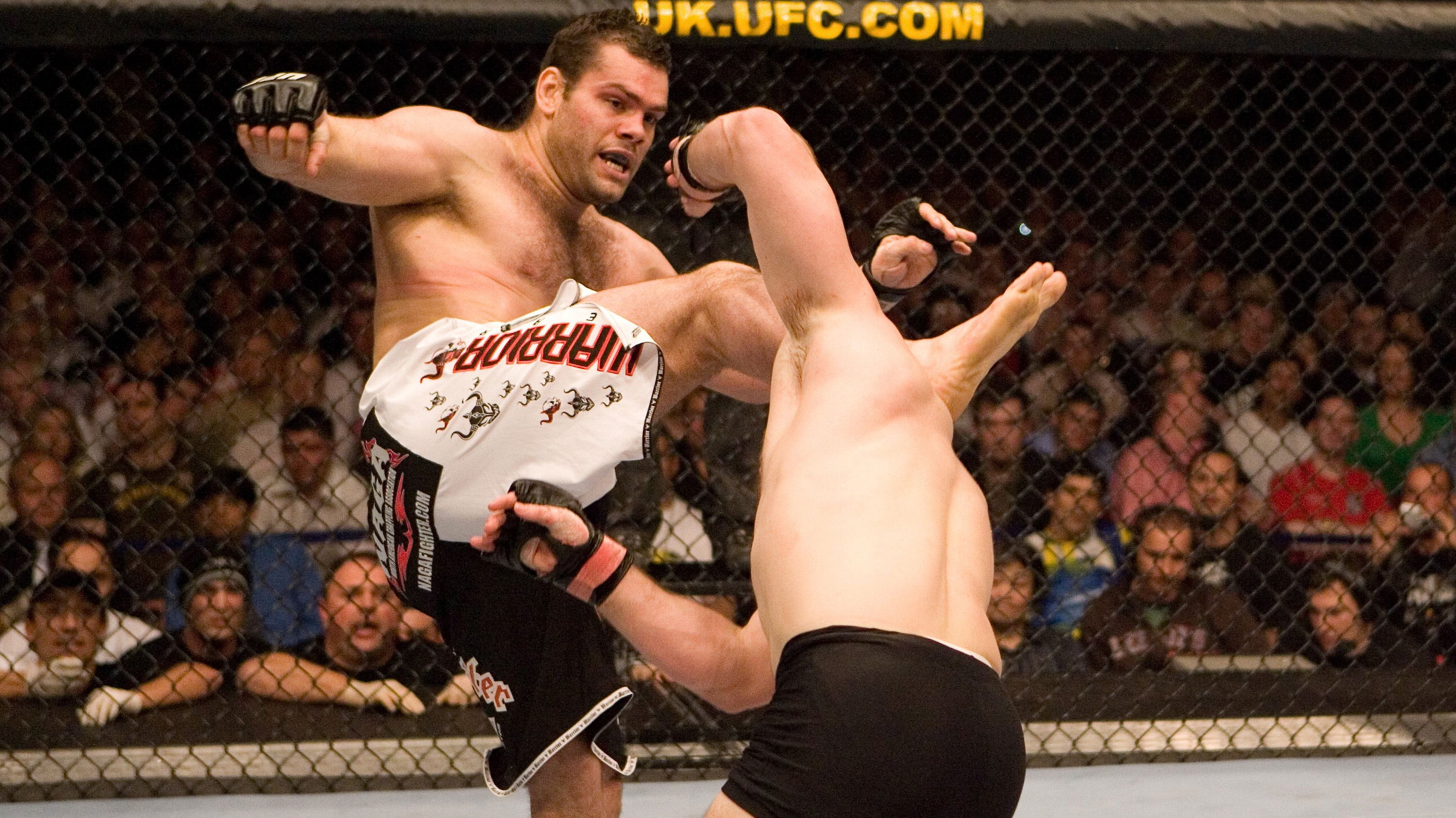 (Photo by Josh Hedges/Zuffa LLC via Getty Images)