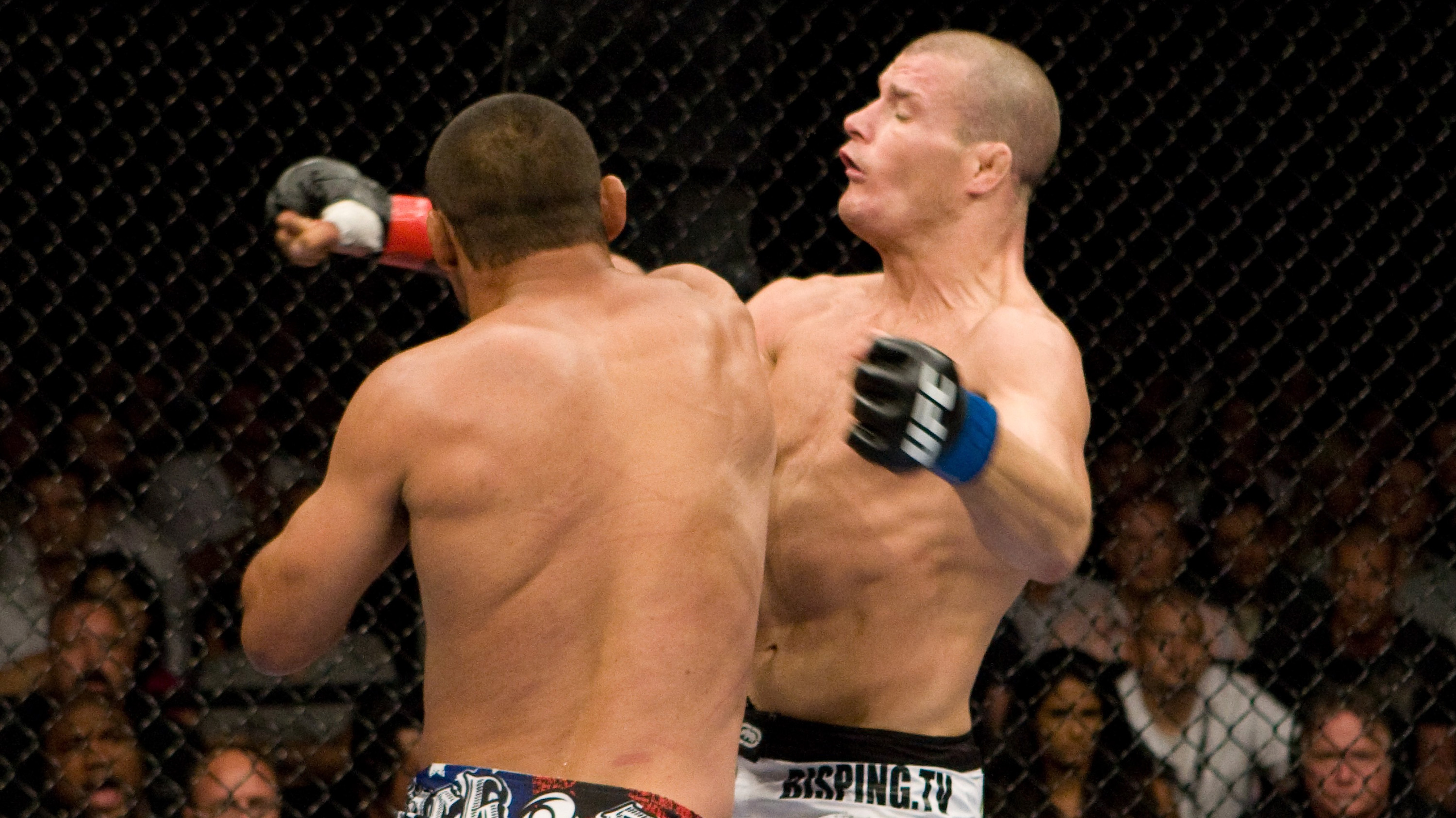 (Photo by Josh Hedges/Zuffa LLC via Getty Images)
