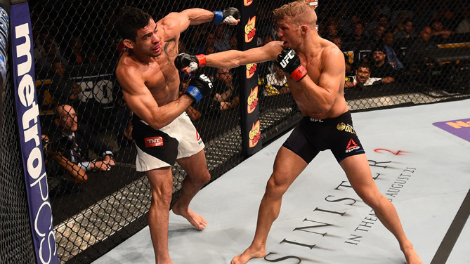 TJ Dillashaw punches Renan Barao of Brazil in their UFC bantamweight championship bout during the UFC event at the United Center on July 25, 2015 in Chicago, Illinois. (Photo by Jeff Bottari/Zuffa LLC)
