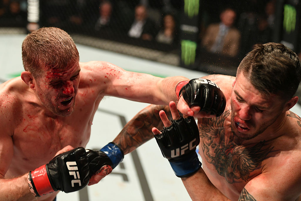 Kelly punches <a href='../fighter/Chris-Camozzi'>Chris Camozzi</a> during their fight in Melbourne, Australia last November