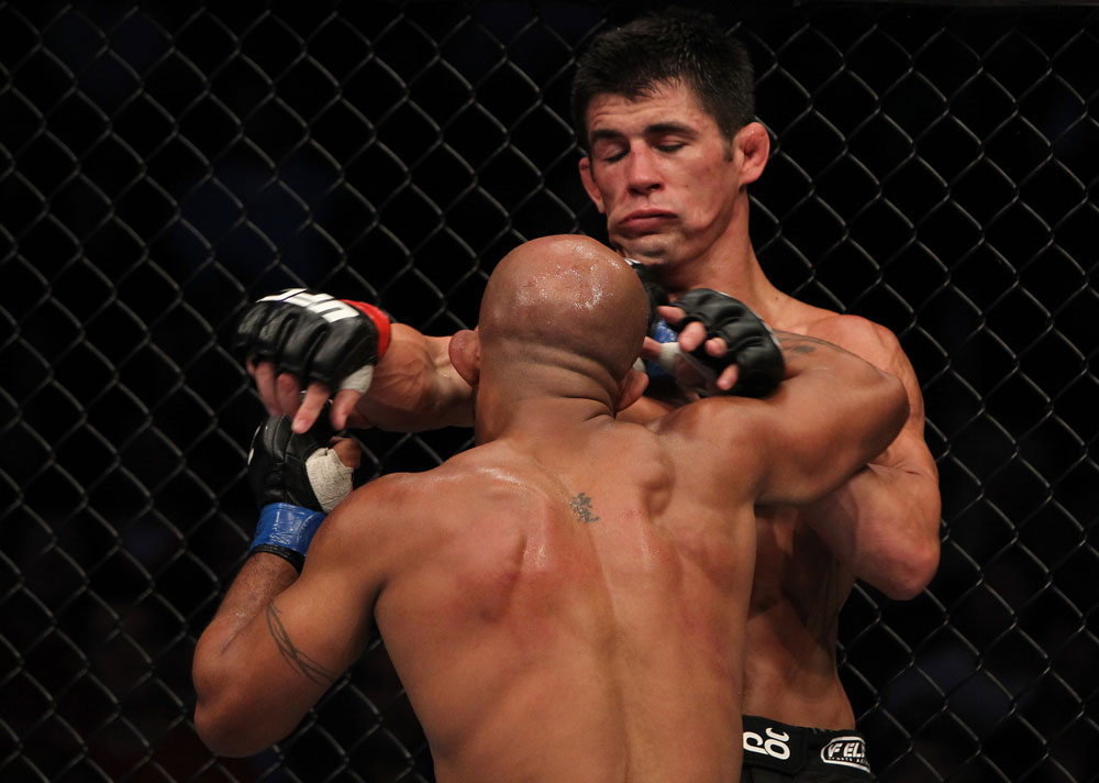 Dominick Cruz vs Demetrious Johnson