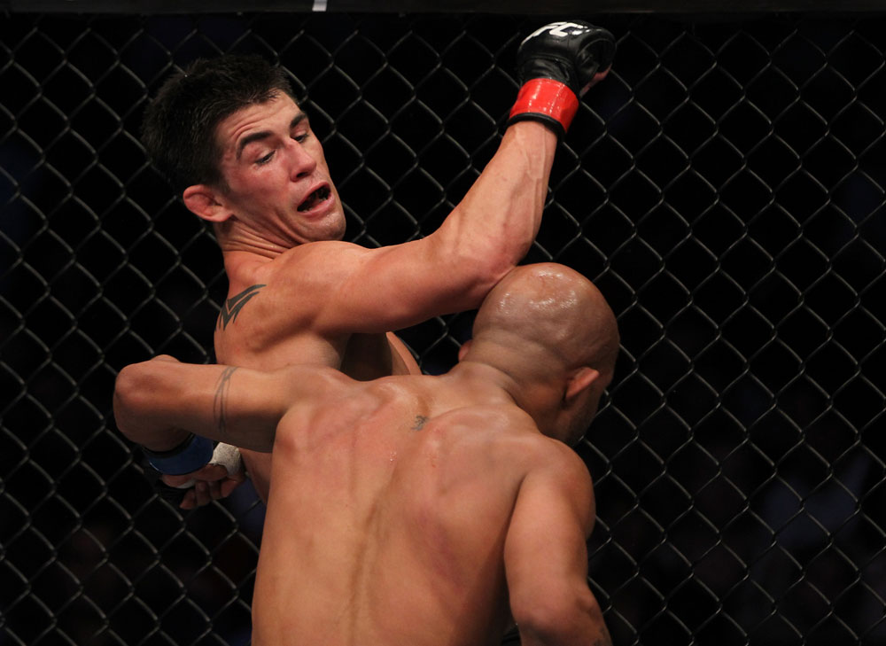 Dominick Cruz vs Demetrious Johnson