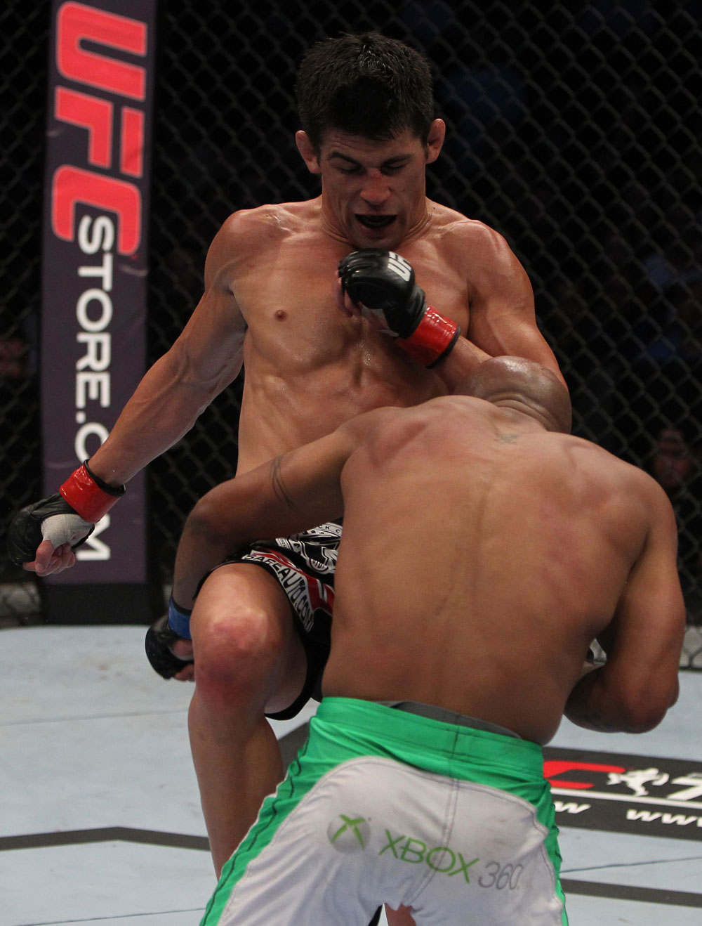 Dominick Cruz vs Demetrious Johnson