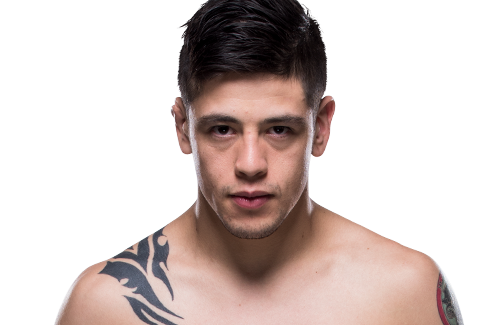 fighter2?.lastName