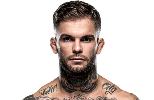 Image result for cody garbrandt