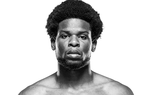 fighter2?.lastName