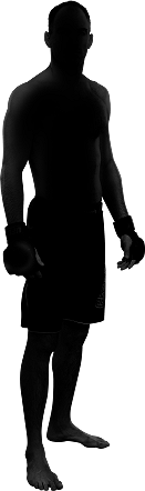 Default-fighter-full-body-left