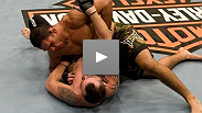 Don't count out Minotauro just yet.