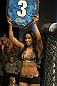 Chandella Powell