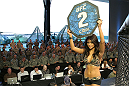 Octagon Girl, Arianny Celeste
