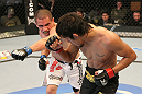 (R)Campuzano vs. (L)Cariaso