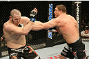Mitrione vs. Hague