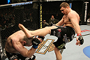 Mitrione vs. Hague