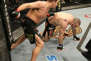 Mitrione vs. Hague