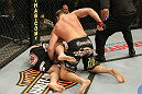 Mitrione vs. Hague
