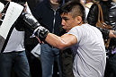 Miguel Angel Torres