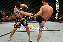 Forrest Griffin vs Rich Franklin