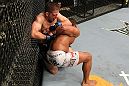 UFC 123: Tyson Griffin vs. Nik Lentz