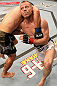 Ring vs. Fukuda