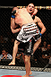 Lytle vs. Ebersole
