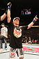 Dennis Siver celebrates his win over George Sotiropoulos